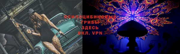 spice Елабуга