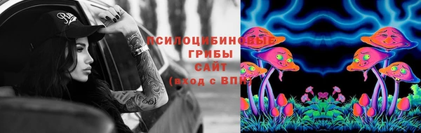 mdpv Верхний Тагил