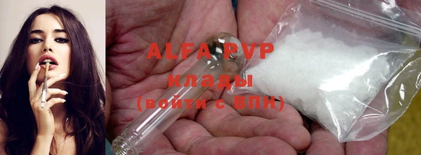 крисы Ельня