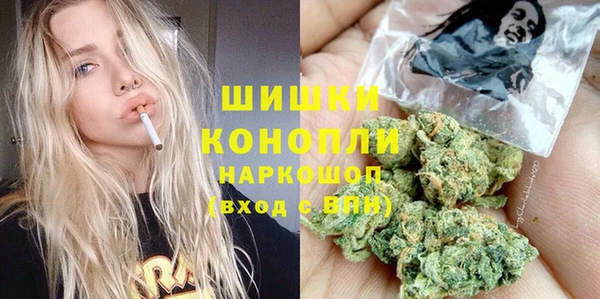 прущие крисы Верея