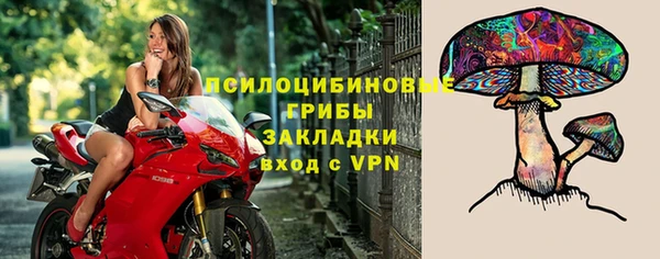 бутират Тавда