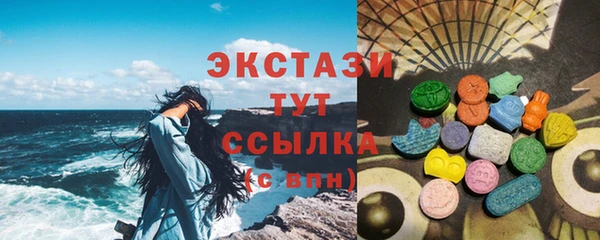 крисы Ельня