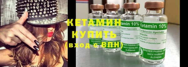 крисы Ельня