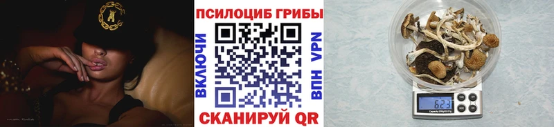 Псилоцибиновые грибы Cubensis  купить закладку  Вятские Поляны 